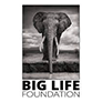 Big-Life-Foundation-Kenya